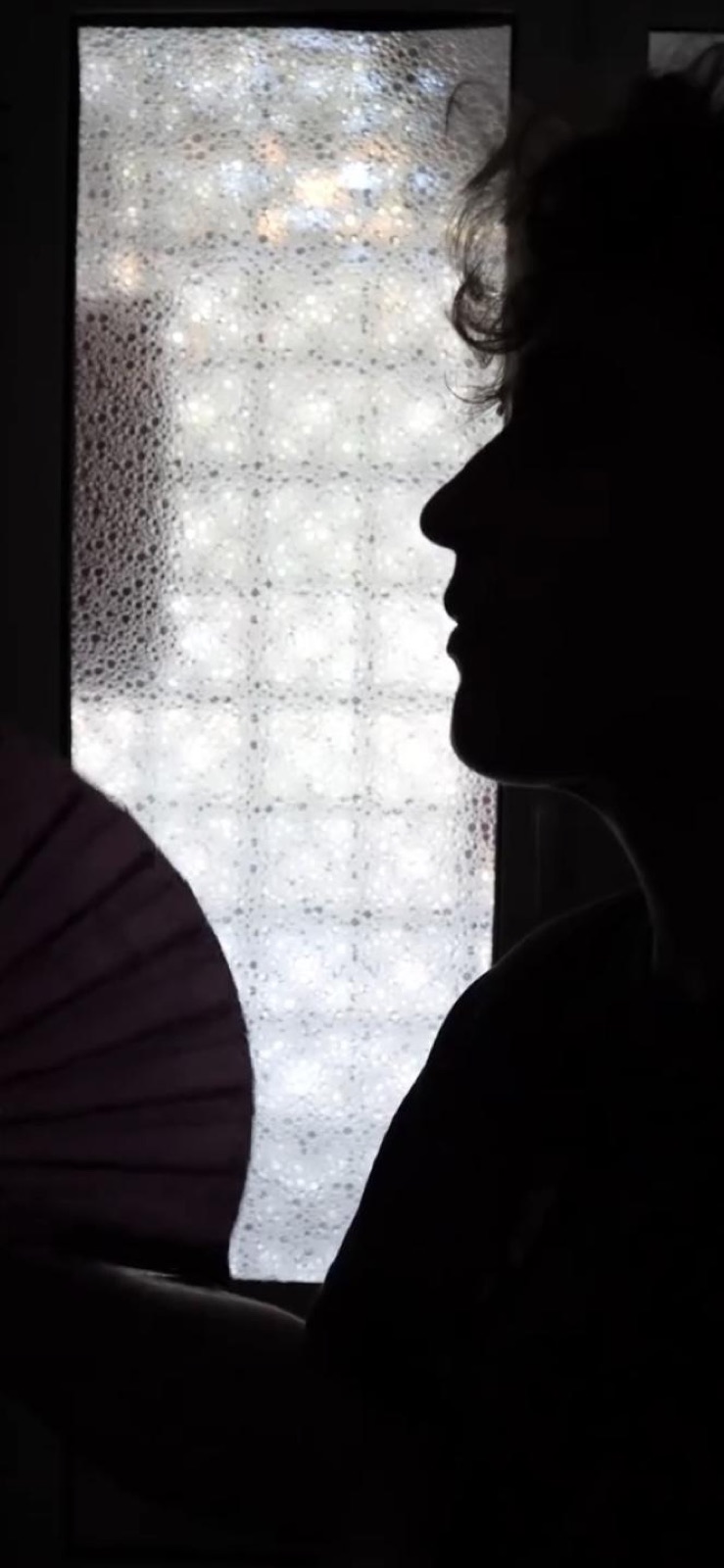 Silhouette with a fan against a glass-block window